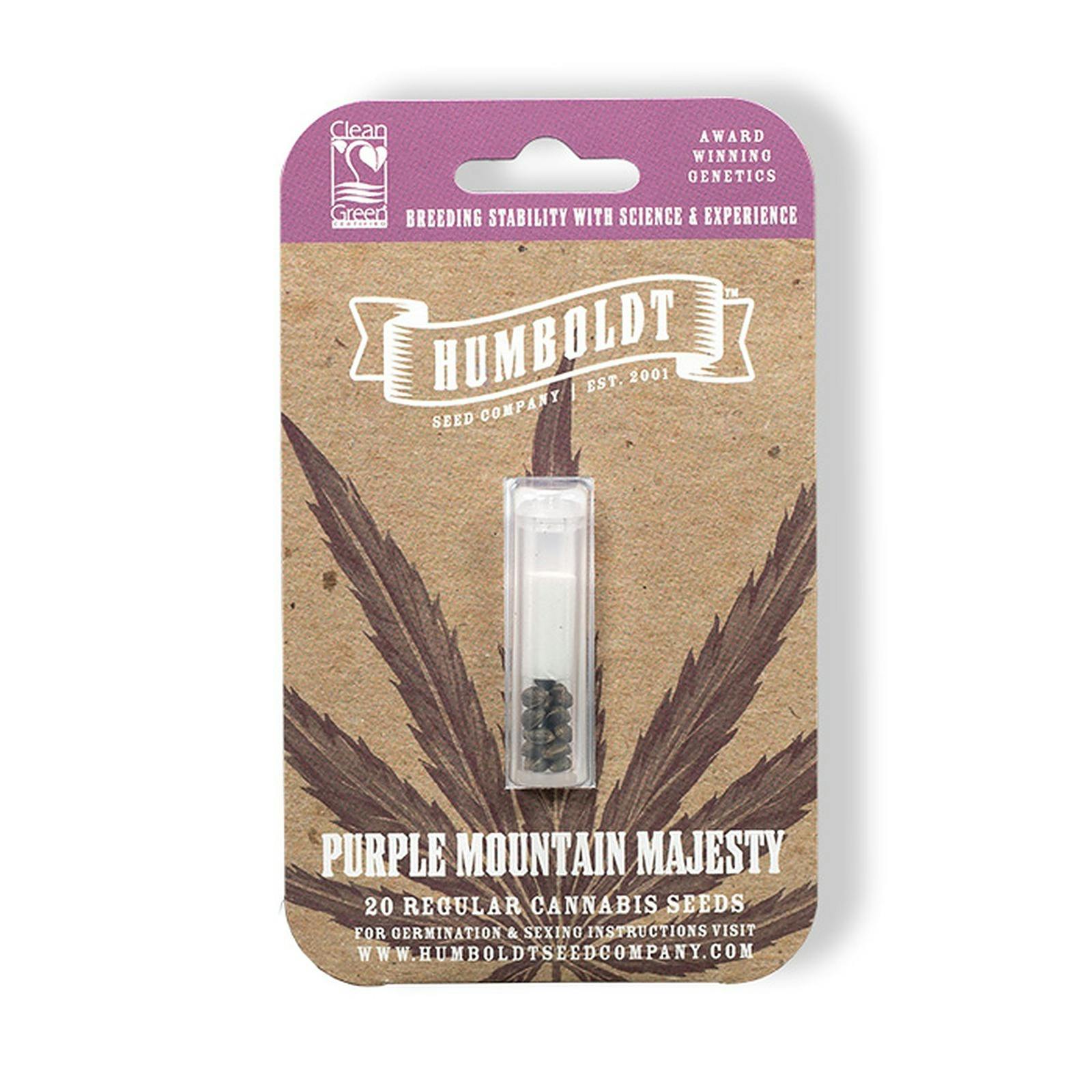 Purple mountain majesty seeds