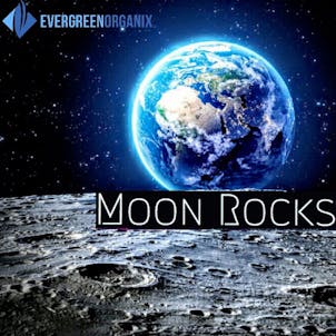 Photo of EGO Moon Rocks