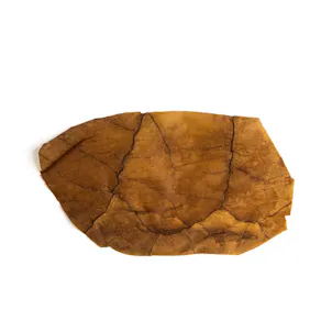 Photo of Shine® Pure Leaf Wraps - Golden Honey