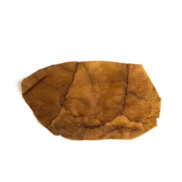 Photo of Shine® Pure Leaf Wraps - Golden Honey