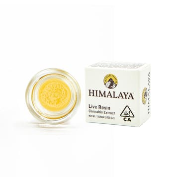 Photo of Honey Banana Live Resin Concentrate