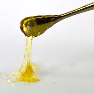 Photo of 1:1 CBD RSO 1g