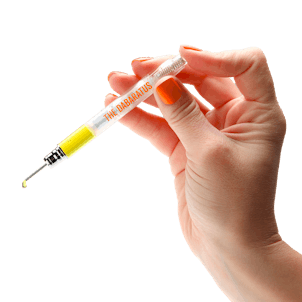 Photo of Bakked Dabaratus