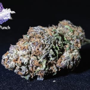 Photo of Fruit Punch