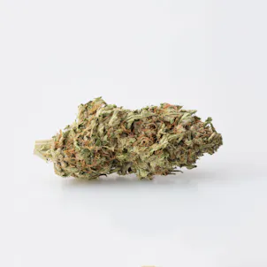 Photo of Cookiemeister