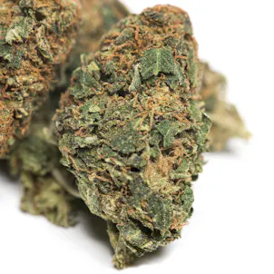 Photo of White Widow