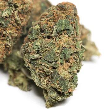 Photo of White Widow