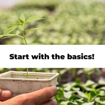 Photo of Marijuana 101 Certificate Program