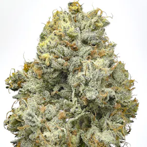 Photo of French Toast Crunch by Fire Bros.