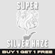 Product image for Super Silver Haze Feminized