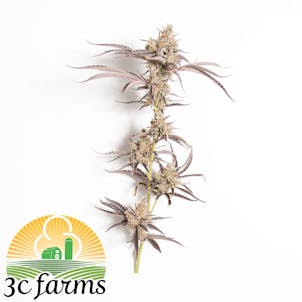 Photo of 3C Chardonnay