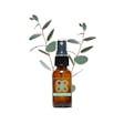 Product image for Eucalyptus CBD Oil Spray (15ml)