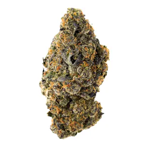 Photo of Sunset Sherbet