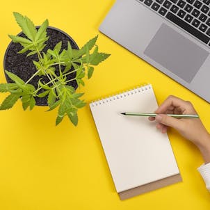 Photo of Cannabis Business Certification Program