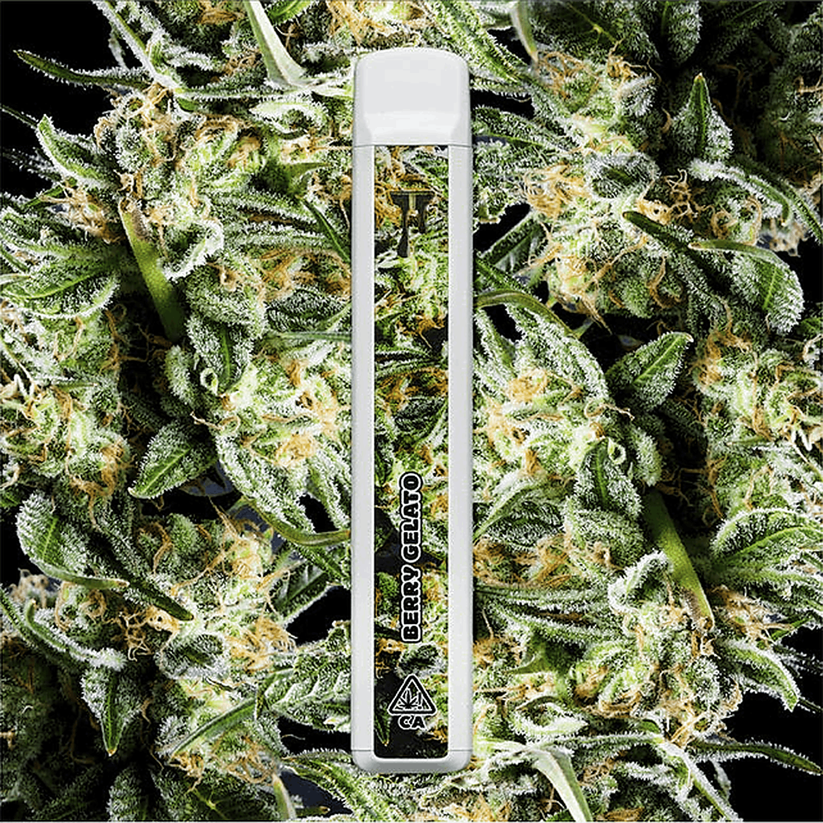 CAKE she hits different Cryo Cured Resin Berry Gelato Disposable