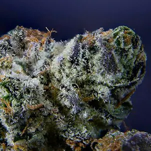 Photo of Narvona Black | Red Runtz Prerolls