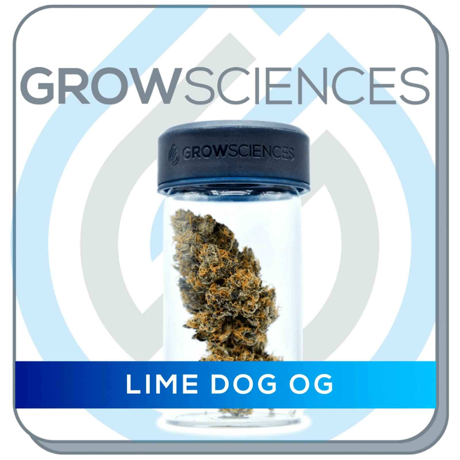Grow Sciences Lime Dog OG Leafly