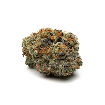 Photo of Berkel Pre-Roll Joint Pack