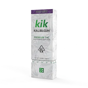 Photo of Kik 1G THC Disposable Vape