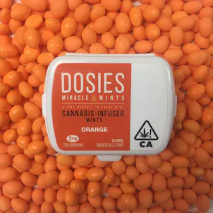 Photo of Dosies-COMING end of Janruary