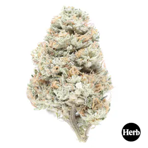 Photo of Sour G CBG (Herb X Botany Farms)