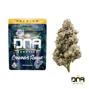 Photo of Skywalker Kush Fem