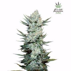 Photo of Tangie'Matic