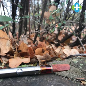 Photo of Tangle Wood