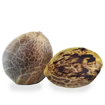 Photo of Bruce Banner Feminized