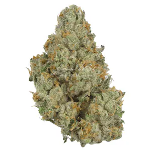 Photo of Member Berry Premium