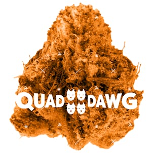 Photo of Quad Dawg