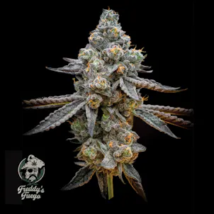 Photo of Garcia's Cherry