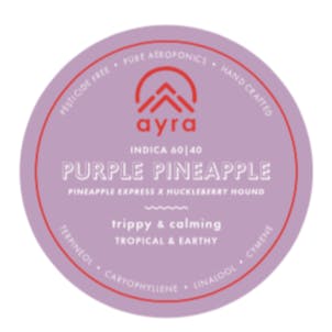 Photo of Purple Pineapple Express