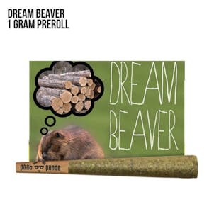 Photo of Dream Beaver Pre-Roll 1g