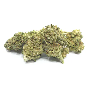 Photo of Budget Machine Trimmed Hemp Flower