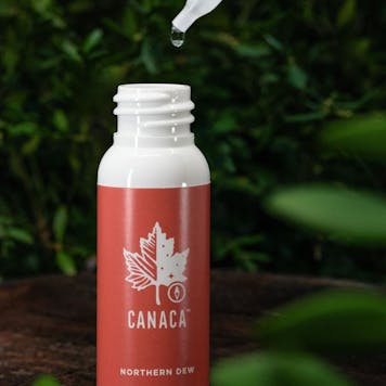 Photo of Northern Dew Oil