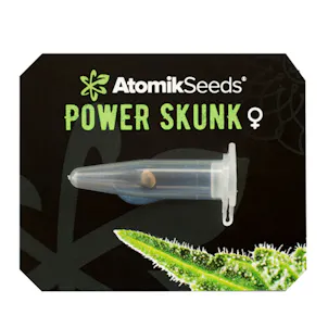 Photo of Power Skunk feminized cannabis seeds