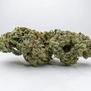 Photo of GMO x Eastside