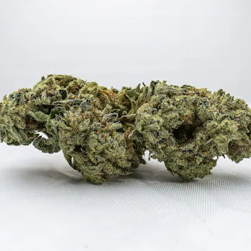 Photo of GMO x Eastside