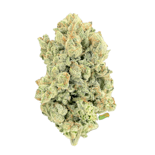 Photo of Orange Tree (1/2 OZ)