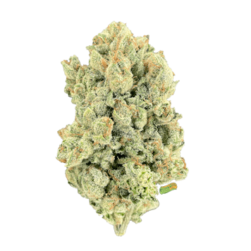 Photo of Orange Tree (1/2 OZ)