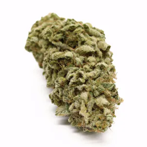 Photo of White Tygh Dream