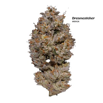 Photo of Dreamcatcher (Indica) - 1/8