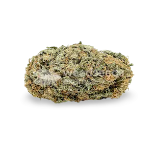 Photo of Tangerine Dream Autoflower Seeds