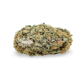 Photo of Tangerine Dream Autoflower Seeds