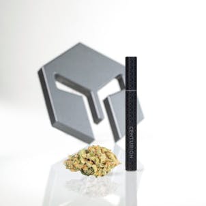 Photo of Vulcan Disposable 1/2 GM