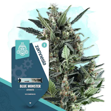 Photo of Blue Monster Automatic by Zamnesia Seeds