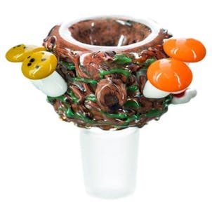 Photo of "Bug's Life" Bowl