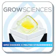 Product image for GMO Cookies x Melted Strawberries Live Hash Rosin Jam (1g)
