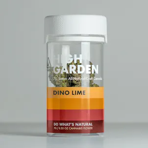 Photo of Dino Lime (7G Flower)